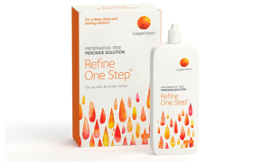RefineOneStep