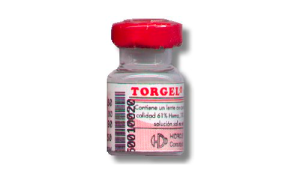 Torgel ST